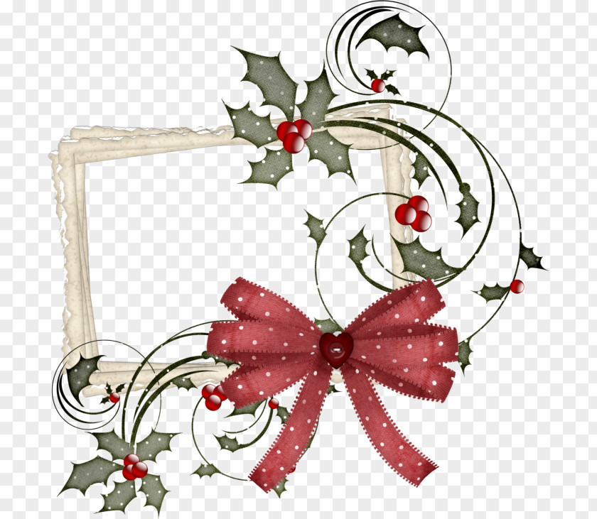 Holiday Ornament Holly Floral Background Ribbon PNG