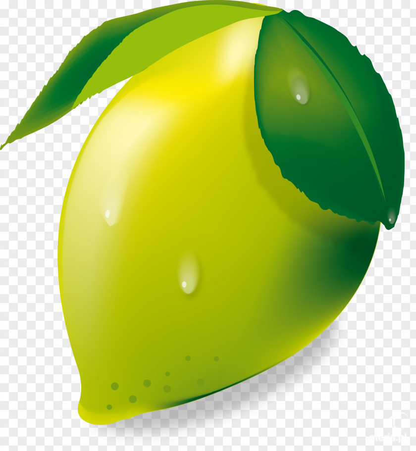 Lemon Iced Tea Fruit Clip Art PNG