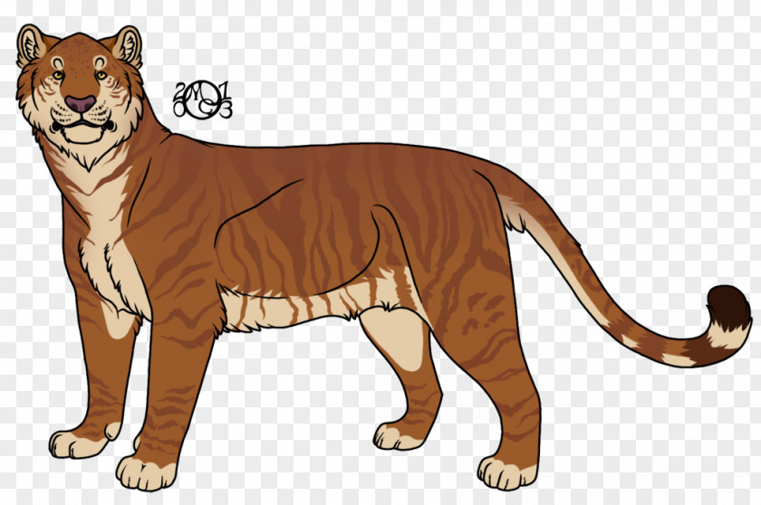Lion Whiskers Cougar Tiger Cat PNG