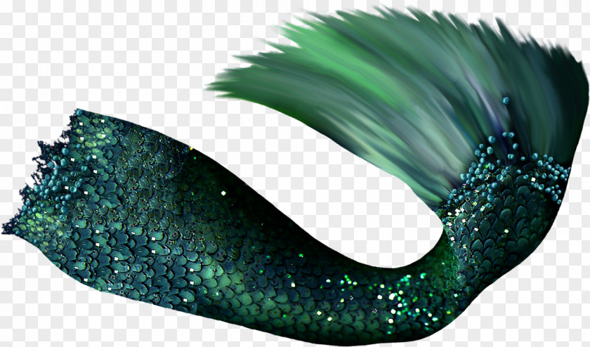 Mermaid Desktop Wallpaper Photography PNG