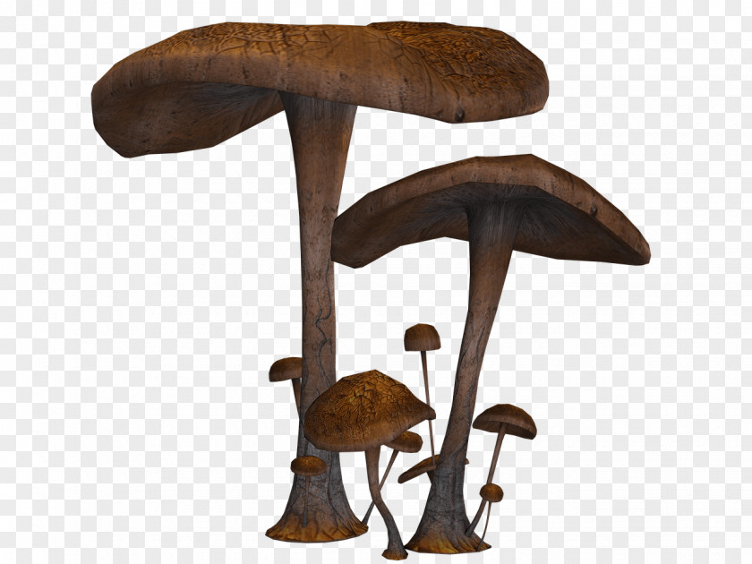 Mushrooms Large And Small PNG and Small, upright position of brown mushroom clipart PNG