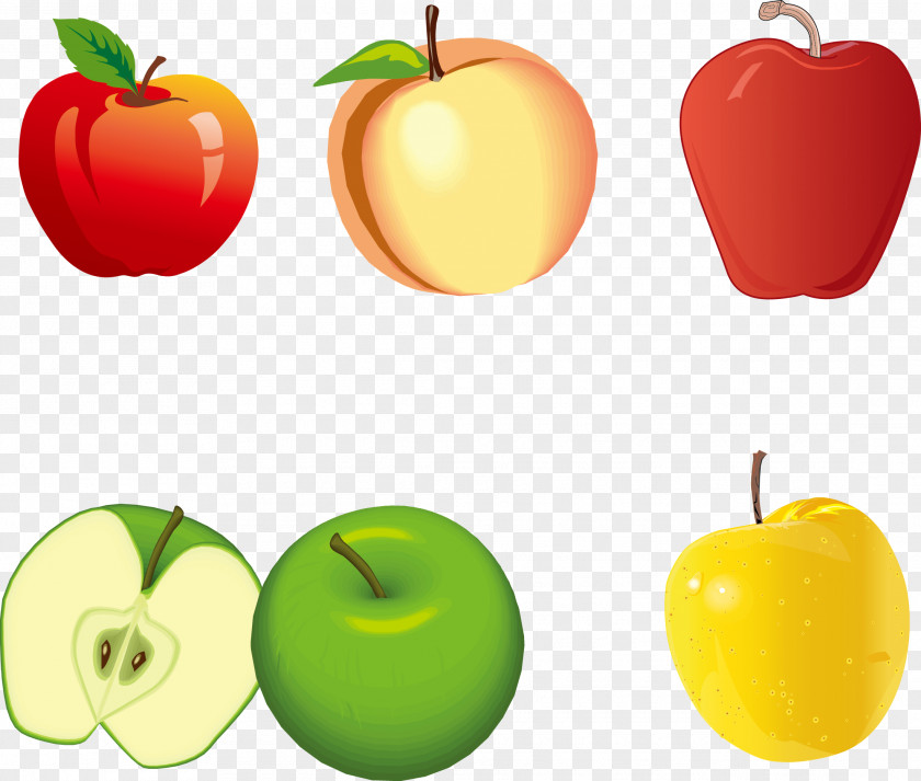 Different Colors And Types Of Apples Color Apple PNG