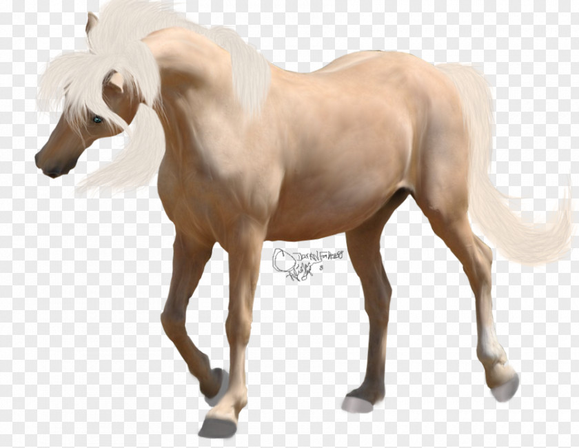 Mustang American Paint Horse Foal Mane Andalusian PNG