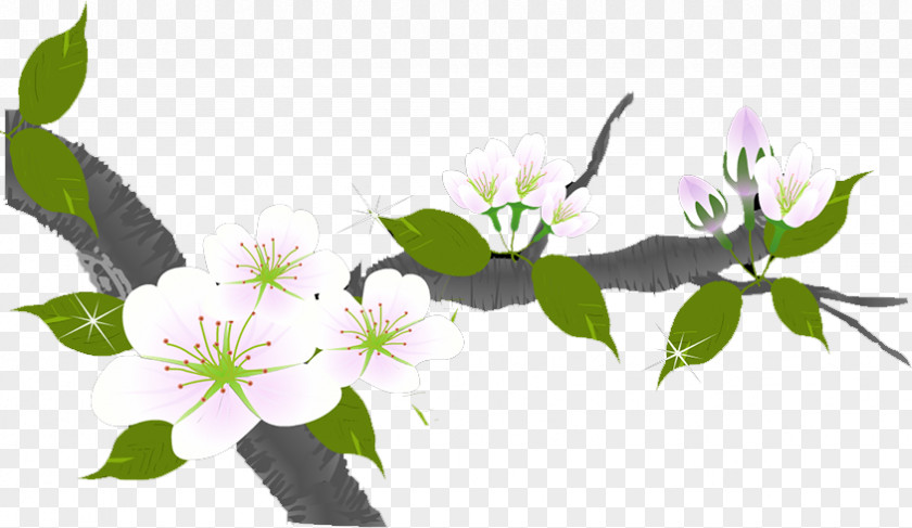 Plum Flower PNG