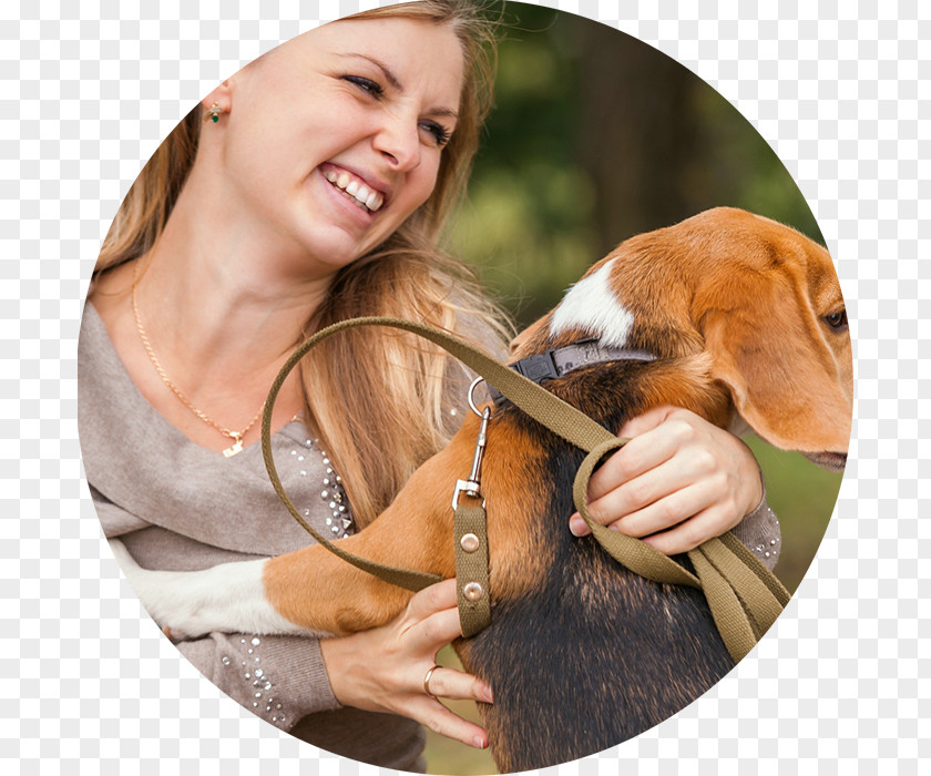 Puppy Dog Stock Photography PNG