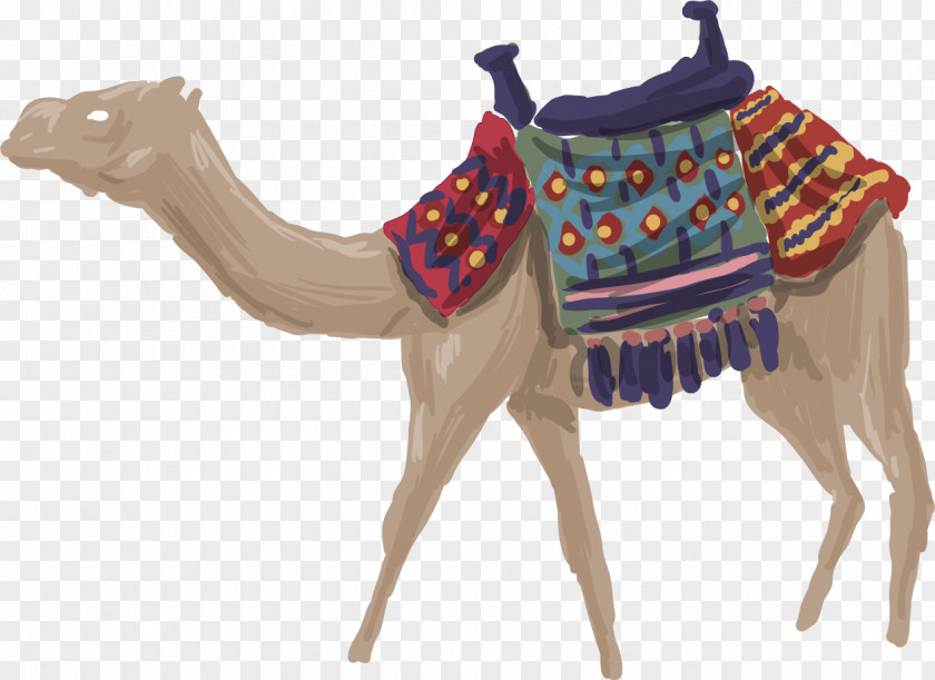 Vector Painted Camel Dromedary Vecteur Computer File PNG