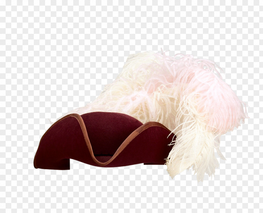 White Fur Hat Photography Clip Art PNG