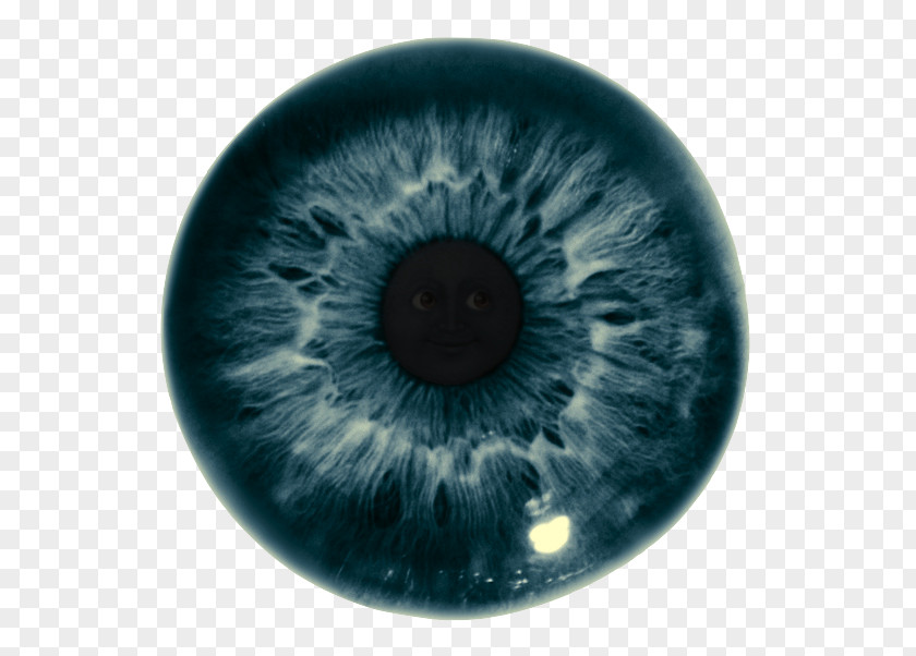 Closeup Vector Iris Eye Color Pupil Human PNG