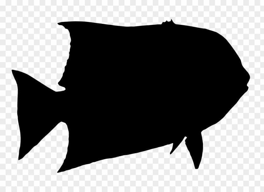 M Clip Art Fish Silhouette Cystic Fibrosis Black & White PNG