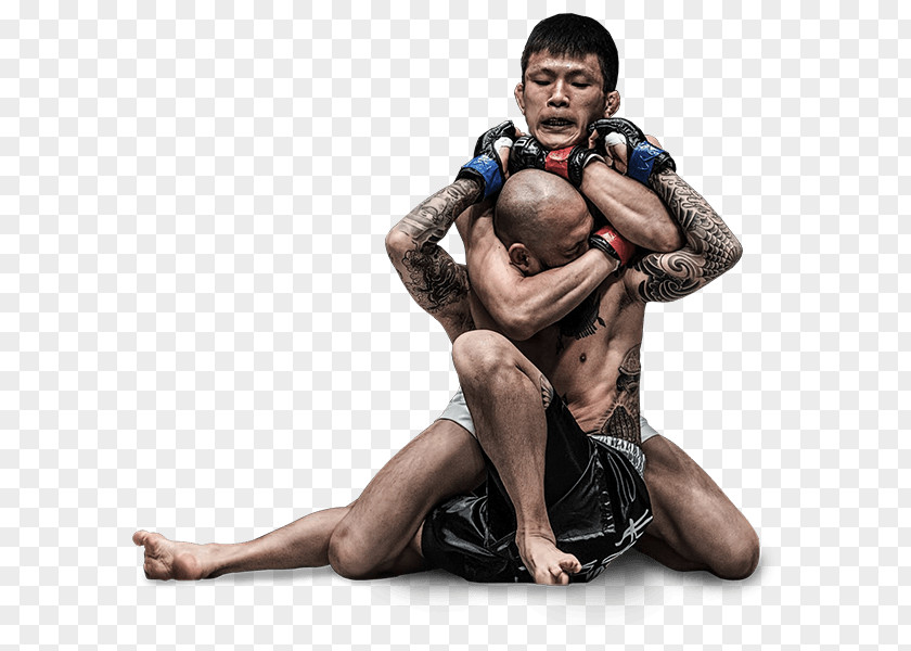 Mixed Martial Arts Ultimate Fighting Championship Combat Sport PNG