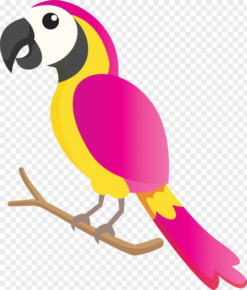 Parrots Birds Beak Hornbill Toucans PNG