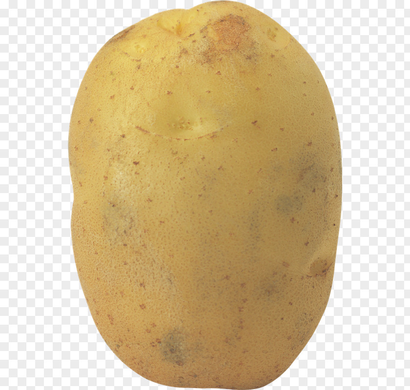 Patatas Potato Salad PNG