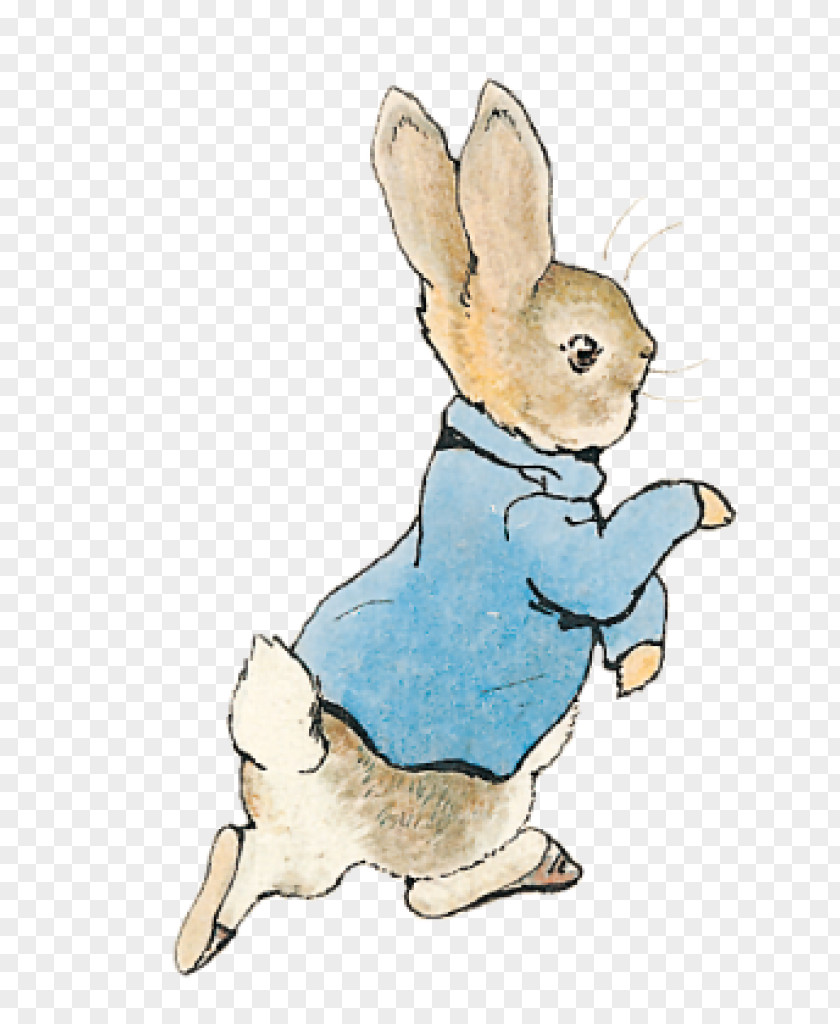 Peter Rabbit The Tale Of Jemima Puddle-Duck Complete Tales Mr. McGregor PNG