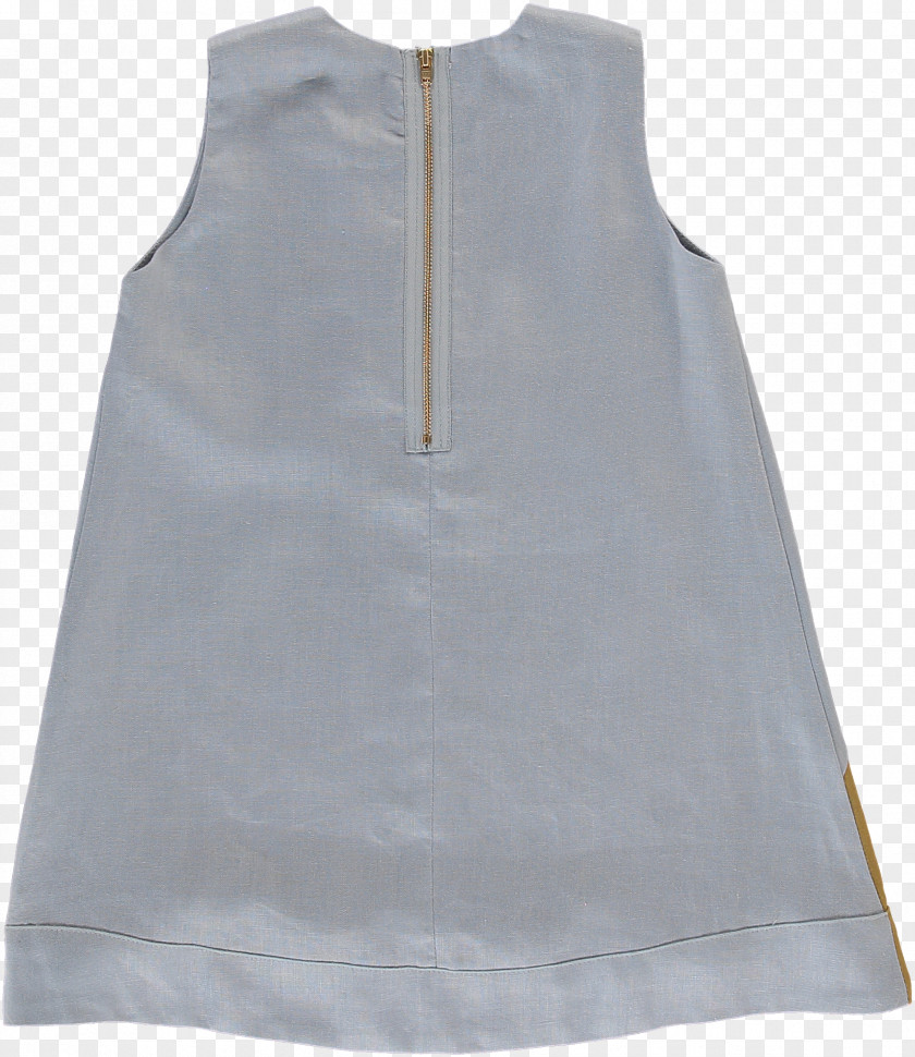 Picnik Sleeve Dress Product PNG