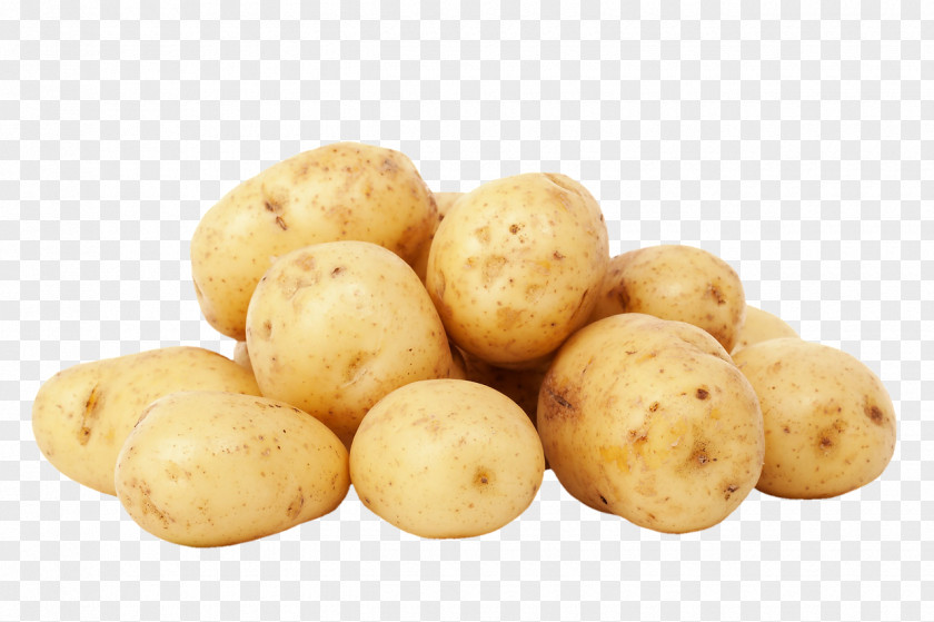 Potato Nutrient Vegetable Food Nutrition PNG