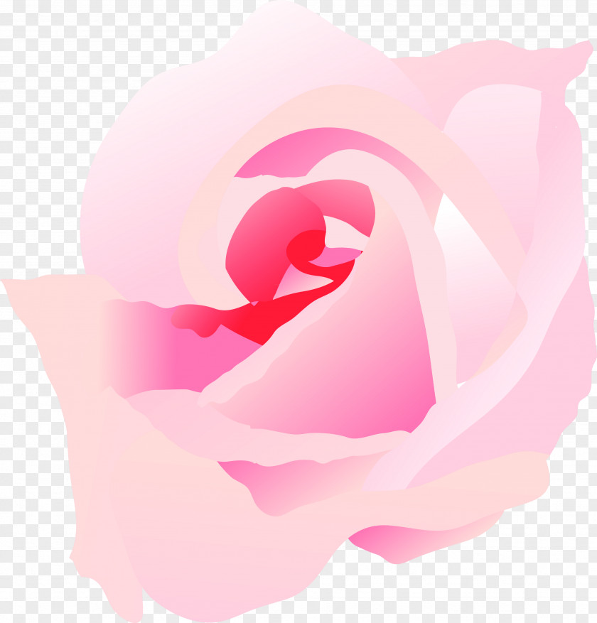 Rose Garden Roses Desktop Wallpaper Petal Computer PNG