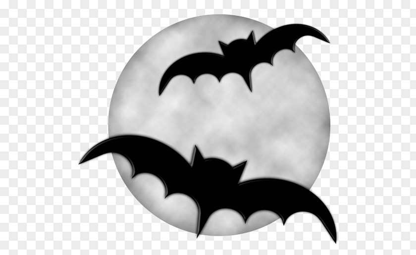Vampire Bats Night Halloween Bat Clip Art PNG
