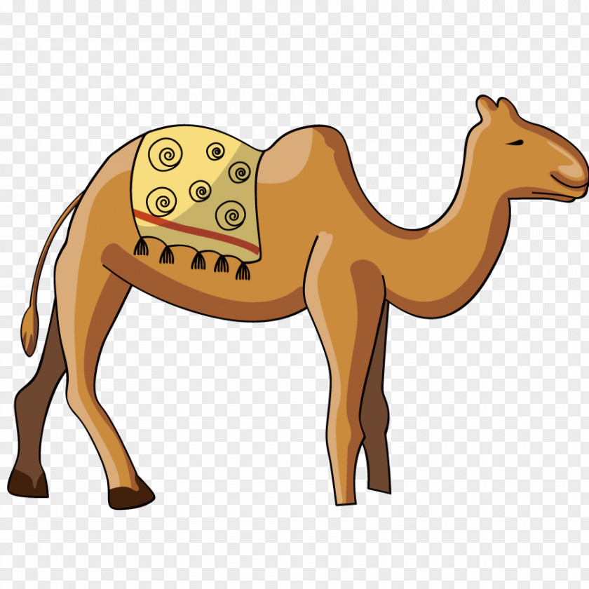 Vector Camel Travel Dromedary Clip Art PNG