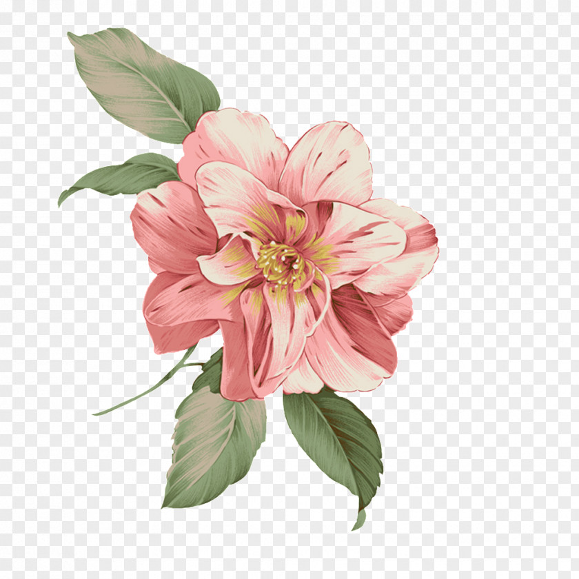 Watercolor Flowers Pink Pattern PNG