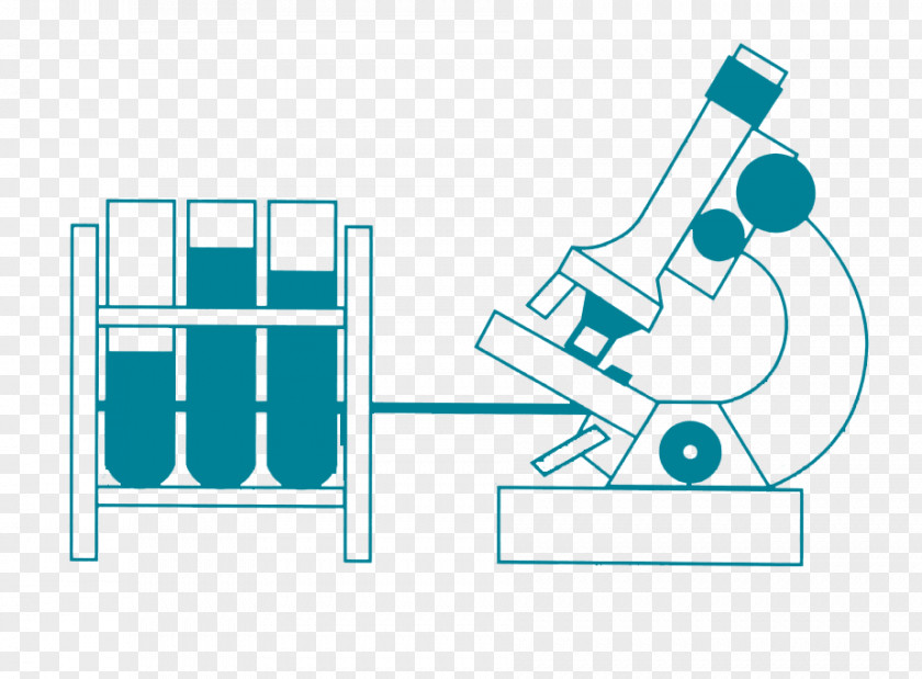 Anàlisi Clínica Medical Laboratory Blood Test Clinic PNG