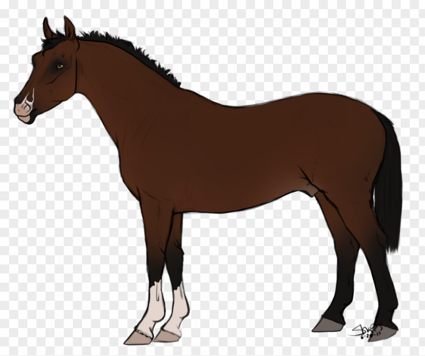 Potus The Sims 3: Pets Nez Perce Horse Appaloosa Akhal-Teke 3 Stuff Packs PNG