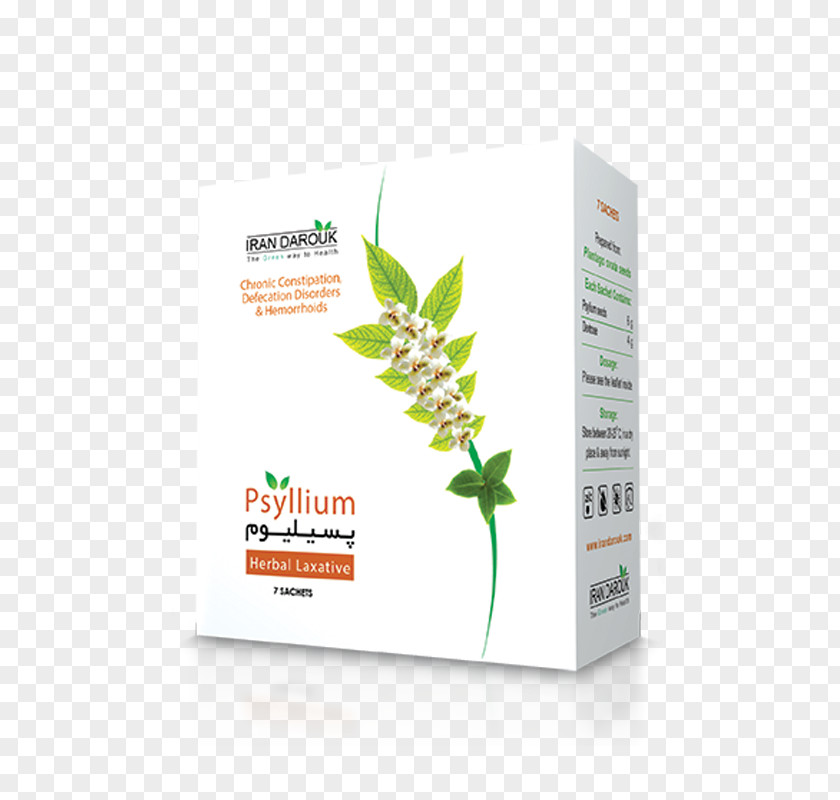 Psyllium Husk Sand Plantain Human Digestive System Drug Dietary Fiber PNG