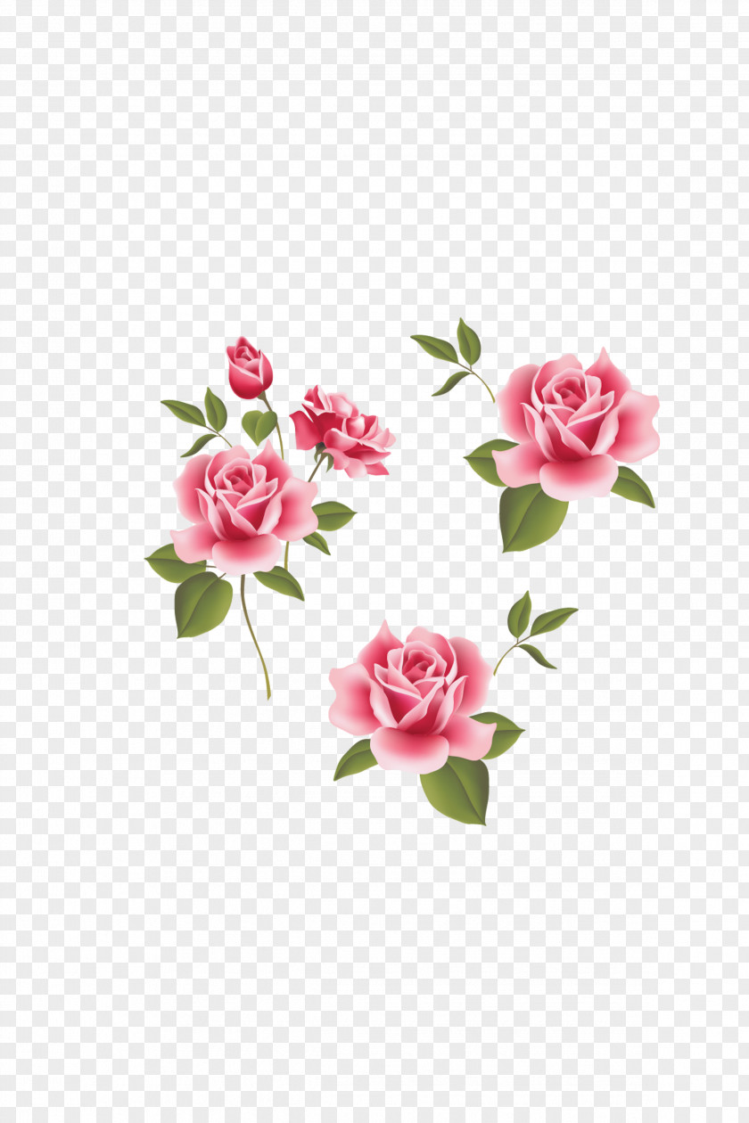 Rose,Pink Roses,Pink Flowers,flower Garden Roses Beach Rose Pink Flower PNG