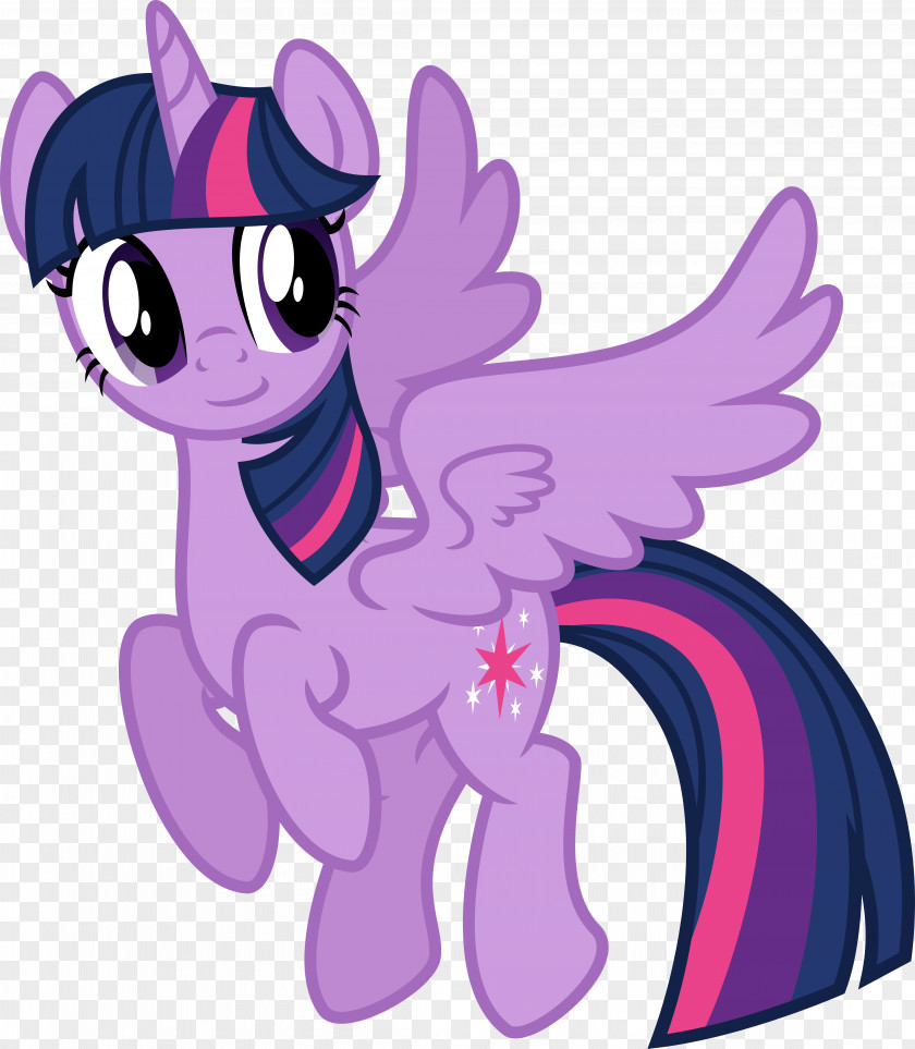 Sparkle Twilight My Little Pony Rarity Winged Unicorn PNG