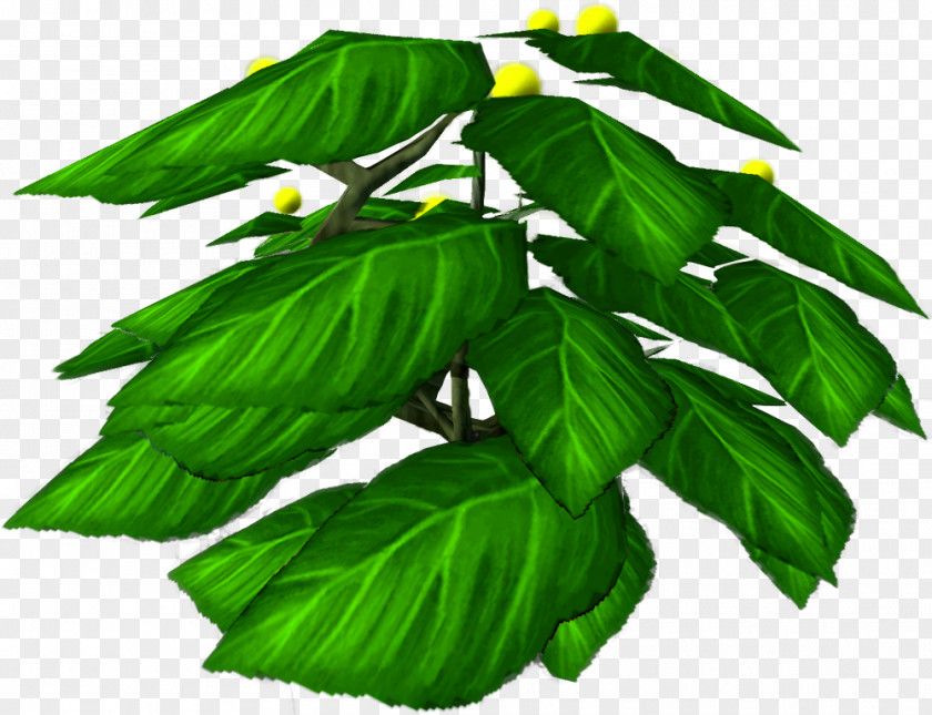 Bushes Insignia Leaf Tree Herb PNG