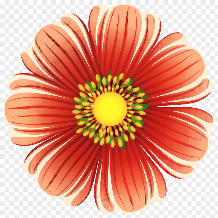 Daisy Family Plant Flowers Background PNG