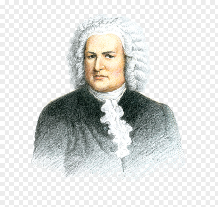 Flute Barrister PNG