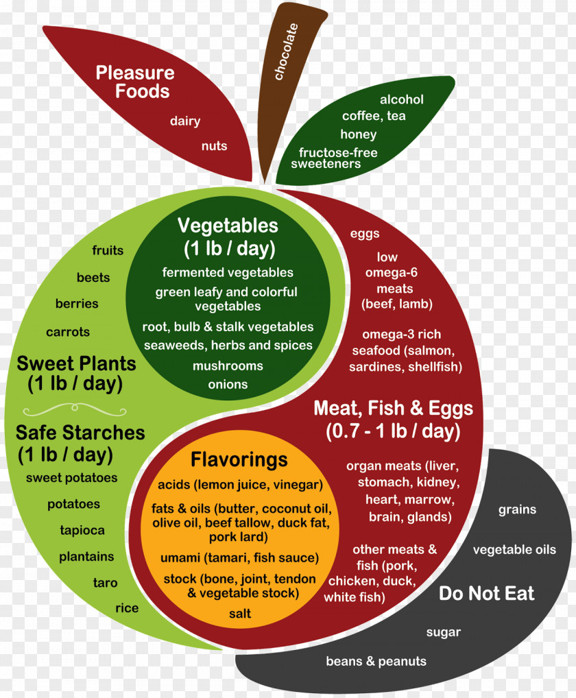 Health Perfect Diet: Regain And Lose Weight By Eating The Way You Were Meant To Eat Food Healthy Diet PNG