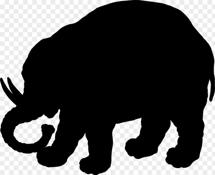 Indian Elephant African Mammal Bear Dog PNG