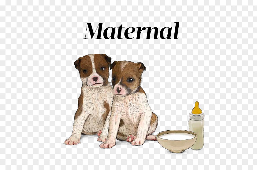 Maternal Dog Breed Puppy Canidae Snout PNG