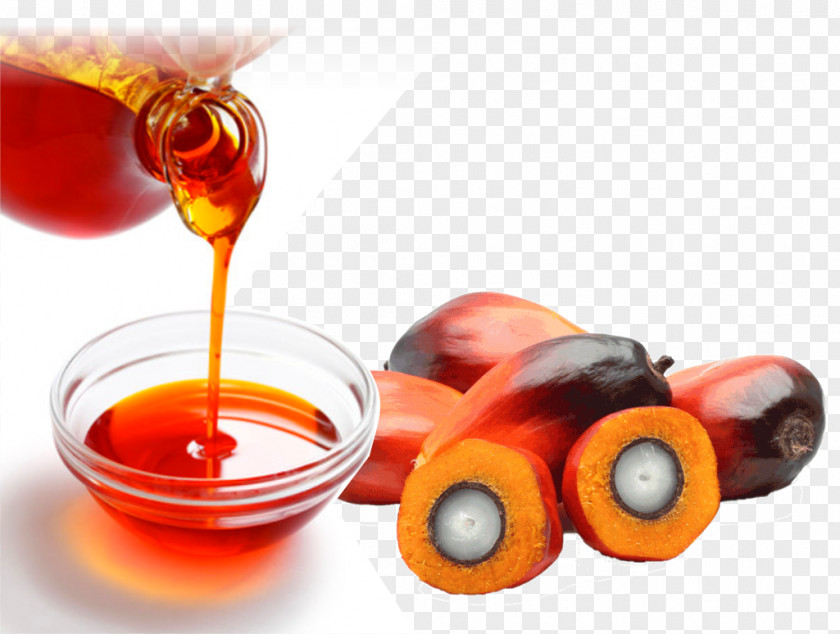 Oil Bottle Palm Cooking Oils Vegetable Kernel PNG