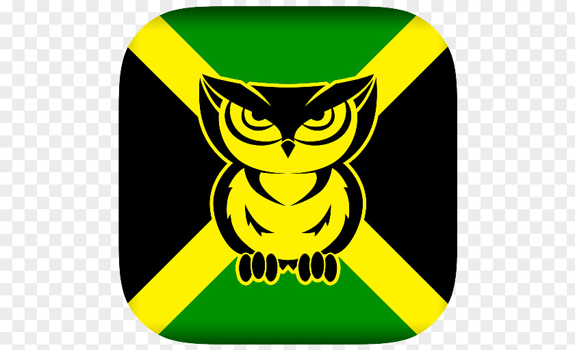 Owl Jamaica Clip Art PNG
