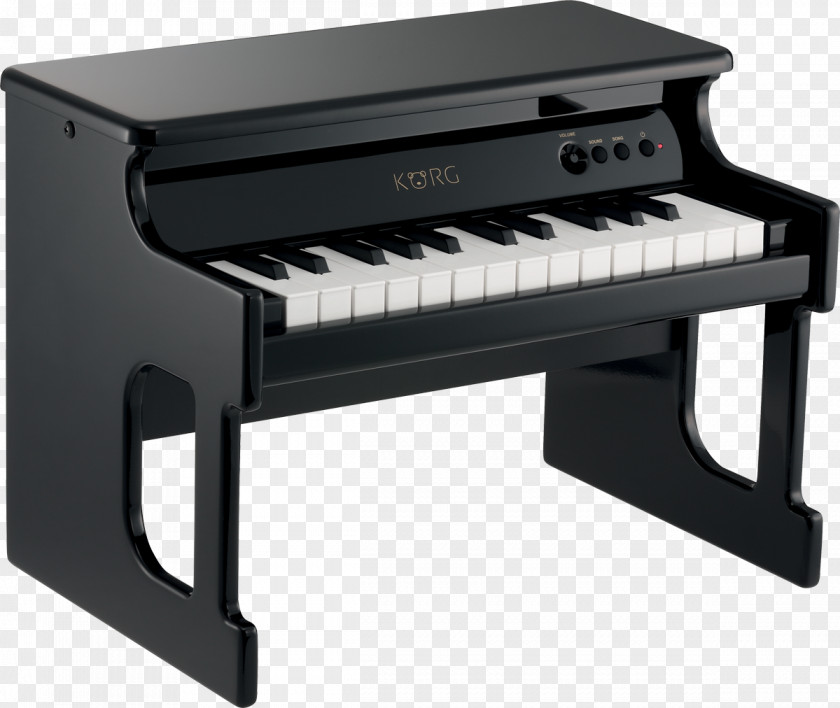 Piano Toy Korg Digital Musical Instruments PNG