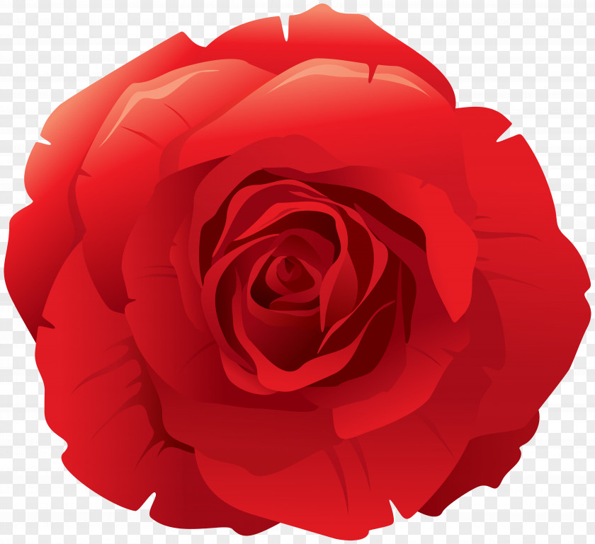 Red Rose Decorative Clip Art Image File Formats Lossless Compression PNG