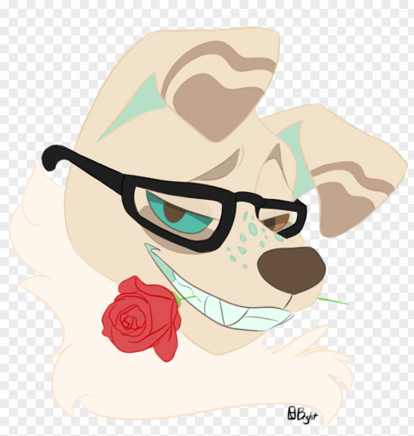 Temporarily Glasses Nose Cartoon PNG