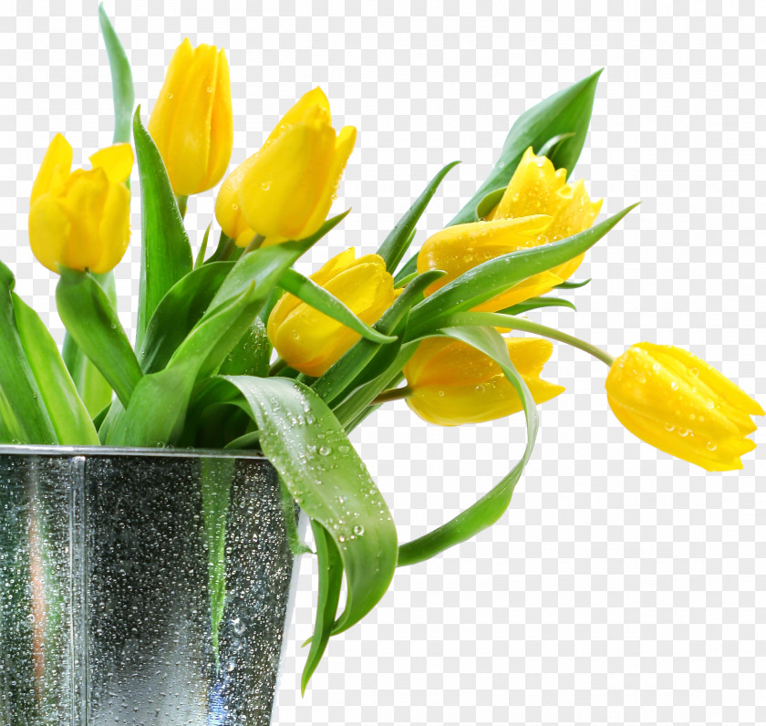 Tulip Flower Bouquet Yellow PNG