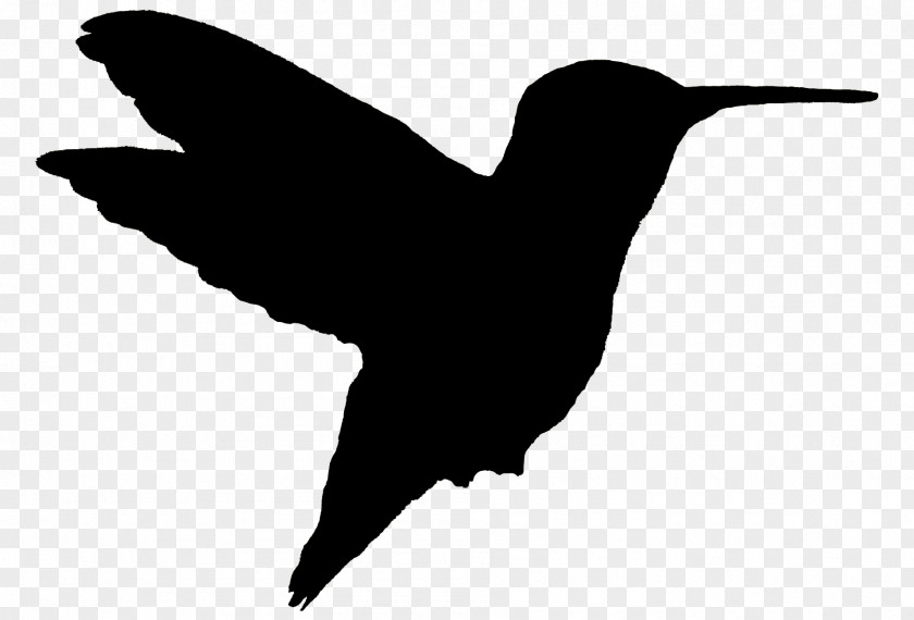 Animal Silhouettes Hummingbird Woodpecker The Gardens At Calvary Silhouette PNG