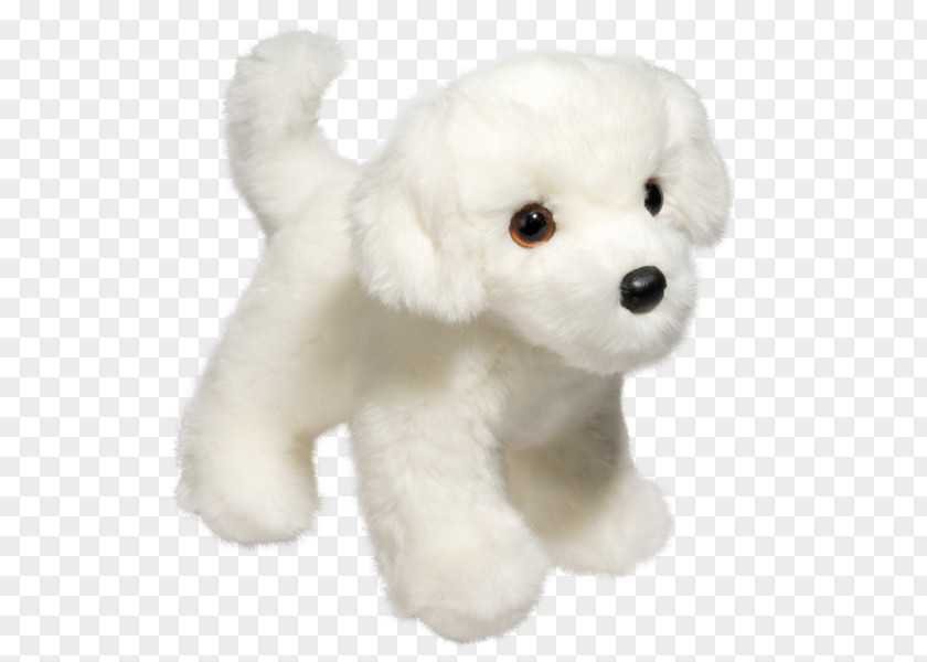 Bichon Frise Standard Poodle Maltese Dog Bolognese Miniature PNG