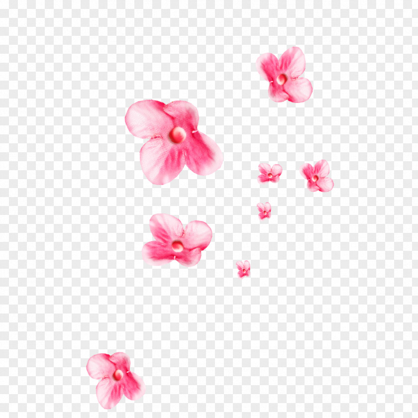 Floating Flower Clip Art PNG