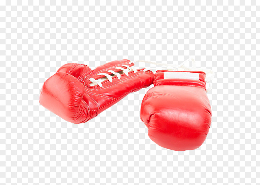 Gy Boxing Glove Day Shoe PNG