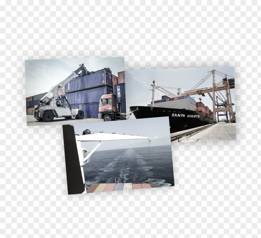Mediterranean Shipping Company Portugal Agentes D Seamanship Angola Navigation Dengiz Transporti Agency PNG