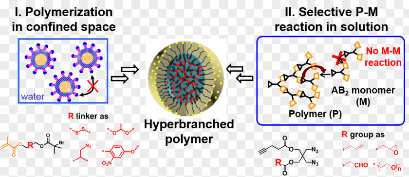 Polymer Reactions Chemistry Reversible-deactivation Polymerization PNG