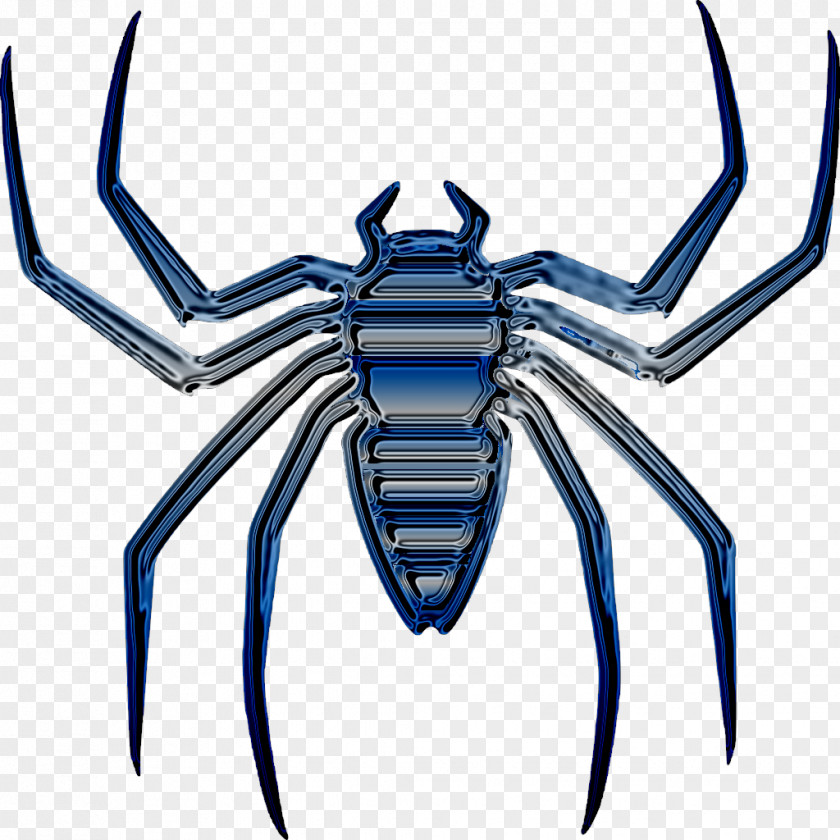 Spider Web Drawing Spider-Man Symbol Logo Image PNG