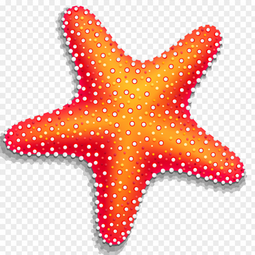 Starfish Vector Computer File PNG