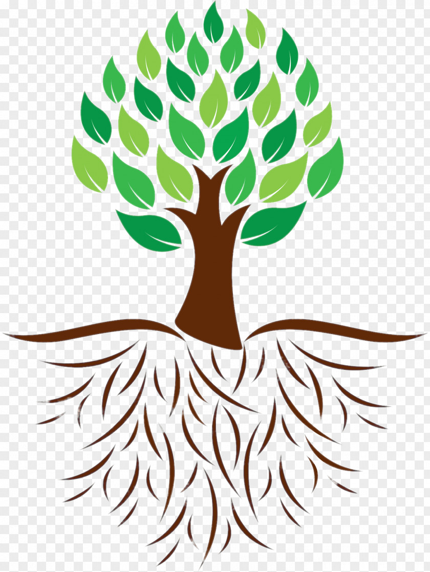 Tree Root Clip Art PNG