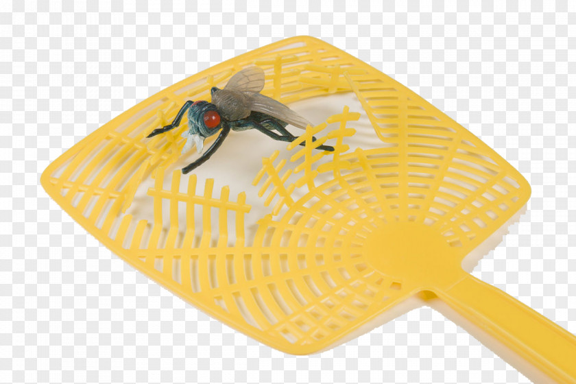 Yellow Flies Shot Flyswatter Google Images PNG